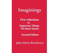 Imaginings: First Addendum to Important Things We Don't Know