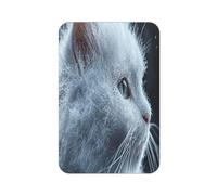 Imán acrílico de copo de nieve para nevera, diseño de gato en un aturdimiento, impresión completa, imanes rectangulares para nevera, pizarra blanca, decoración de oficina, taquilla, también para coche