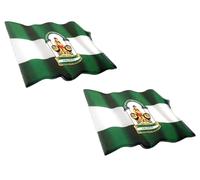 Iman de Nevera Resina Bandera Andalucia