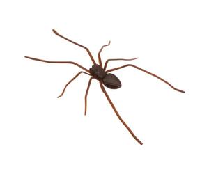 Imán magnético para con diseño de arañas divertidas para puerta | 2 imanes de araña para nevera, divertidos imanes realistas de araña, decoración espeluznante, arañas decorativas para nevera
