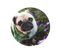 Imán magnético suave para nevera, diseño de Pugs In The Garden, para decoración de cocina, regalo de recuerdo
