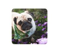 Imán magnético suave para nevera, diseño de Pugs In The Garden, para decoración de cocina, regalo de recuerdo