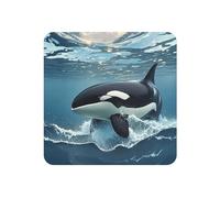 Imanes de nevera para taquilla, pizarra blanca, imán magnético para nevera, orca, ballena, imán decorativo para cocina, oficina, armario de cristal y lavavajillas