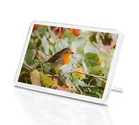 Imanes de vinilo de Destination Cute Red Robin Bird Clásico imán para nevera - Invierno Otoño Naturaleza Regalo Divertido #14318