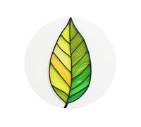 Imanes magnéticos redondos para nevera de vitral con una hoja alargada grande para cocina, duraderos con magnetismo duradero