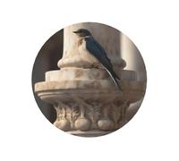 Imanes para nevera, impermeables, resistentes, pequeños, para nevera, la golondrina se mantiene en el pilar, imanes decorativos redondos para manualidades, hogar, cocina, oficina, decoración de