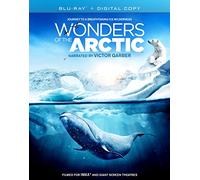 Imax: Wonders of the Arctic [USA] [Blu-ray]