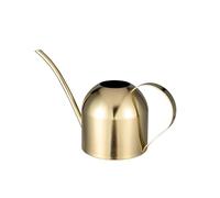 IMEEA Regadera pequeña de 33 oz/1 L para plantas de interior, acero inoxidable, regadera de plantas con pico largo (oro)