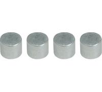 Imex El Zorro El Zorro 54041-Imanes Expositor, 9 x 10 mm (4 Unidades), Acero, Gris, 9x9x10 cm