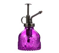 IMIKEYA Pequeña botella de riego de vidrio retro con mango de agarre simple para plantas de interior y árboles bonsái, cómoda de usar, regadera de vidrio Mister