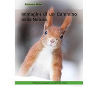 Immagini di un Cammino nella Natura: Tra boschi, montagne e ricordi di vita vissuta