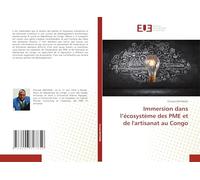 Immersion dans l’écosystème des PME et de l'artisanat au Congo