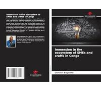 Immersion in the ecosystem of SMEs and crafts in Congo