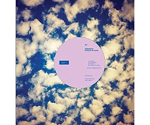 Immersion - Living on An Island [Vinilo]