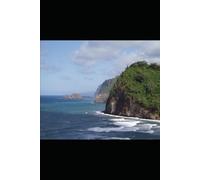 Immigrant. Rejected. Unstoppable.: An Immigrant’s Journey from Rejection to Resilience in America