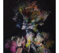 Imminence Heaven in Hiding (CD) (Importación USA)