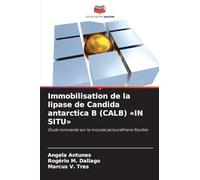 Immobilisation de la lipase de Candida antarctica B (CALB) IN SITU: Étude innovante sur la mousse polyuréthane flexible