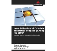 Immobilisation of Candida antarctica B lipase (CALB) 'IN SITU': Innovative Study on Flexible Polyurethane Foam