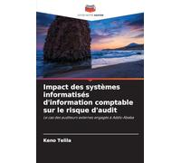 Impact des systèmes informatisés d'information comptable sur le risque d'audit