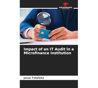 Impact of an IT Audit in a Microfinance Institution