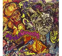 Impala Syndrome - Impala Syndrome