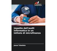 Impatto dell'audit informatico in un istituto di microfinanza