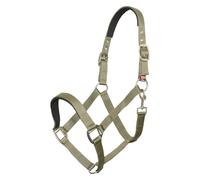 Imperial Riding Cabestro clásico Deportivo de Nailon Resistente, Acolchado Suave con Neopreno, Ajustable, con mosquetón y Accesorios de Lujo de Oro Rosa/Dorado, cómodo Cabestro para Caballo, Verde