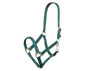 Imperial Riding Cabestro Economic, Resistente Cabestro de Nailon de 25 mm, Ajustable, Correa de mosquetón, Duradero y fácil de Limpiar, para Entrenamiento, establo y Uso Diario, Verde Bosque, Xfull