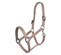 Imperial Riding Collar Deportivo clásico Hecho de Nailon Duradero, Acolchado Suave con Neopreno, Ajustable, con mosquetón y Accesorios de Lujo Oro Rosa/Oro, cómodo Collar de Caballo, Capuchino, Potro