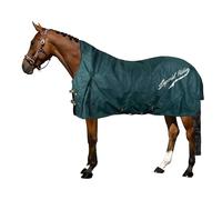 Imperial Riding IRHSuper-Dry - Manta para Exteriores (200 g), Color Verde Bosque, 165