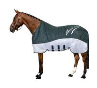 Imperial Riding Manta para Lluvia y Moscas IRHSuper-Dry, Color Verde Bosque, 185