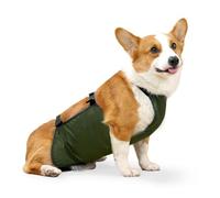 Impermeable para perro, abrigo impermeable para mascotas, ropa para mascotas, chaqueta impermeable para perro, cubierta para el vientre, impermeable Corgi, banda para el vientre para perro,