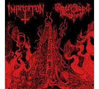 Imprecation / Black Blood Invocation - Diabolical Flames Of The Ascended Plague [Vinilo]