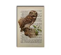 Impresión artística para pared, diseño vintage de búho, diccionario de pájaros antiguos, ilustración de vida silvestre, lienzo impreso, decoración de pared, adecuado para sala de estar, dormitorio