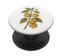 Impresión artística Vintage botánica Physalis Nature Fruit PopSockets PopGrip Adhesivo