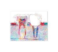 Impresión de acuarela anatómica dientes y póster odontología arte médico lienzo pintura dentista Oficina clínica pared imagen decorativa(3,20x25 cm No Frame)