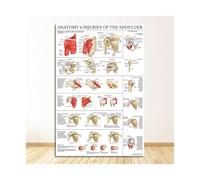 Impresión de arte del cuerpo humano Educación médica Decoración hogar Pintura lienzo M216 Human Anatomy Muscle System Poster(2642-05,55x85cm No Frame)