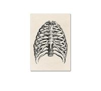 Impresión de arte pared médica anatomía humana, póster Vintage esqueleto muscular, impresión lienzo nórdico, pintura educativa, decoración moderna(Picture 13,20x25cm No Frame)