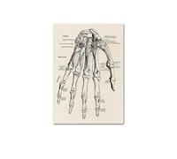 Impresión de arte pared médica anatomía humana, póster Vintage esqueleto muscular, impresión lienzo nórdico, pintura educativa, decoración moderna(Picture 17,A4 21x30cm No Frame)