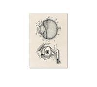 Impresión de arte pared médica anatomía humana, póster Vintage esqueleto muscular, impresión lienzo nórdico, pintura educativa, decoración moderna(Picture 7,25x35cm No Frame)