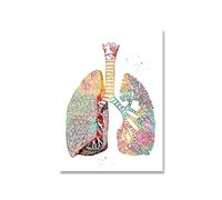 Impresión de corazón esqueleto acuarela arte lienzo pintura pulmón cerebro anatomía medicina pared clínica médico Oficina habitación decoración Póster(4,30x45cm No Frame)