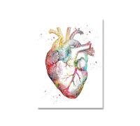 Impresión de corazón esqueleto acuarela arte lienzo póster pintura pulmón cerebro anatomía medicina pared impresión clínica médico Oficina Decoración(Picture 6,A4 21x30cm no frame)