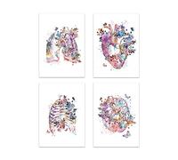 Impresión de corazón humano, lienzo anatomía órganos, pintura medicina, póster anatómico, estampado Vintage, imágenes flores acuarela, decoración clínica(I-4pcs,21X30cm A4 No Frame)