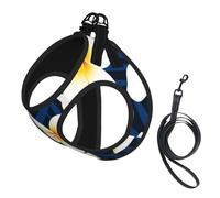 Impresión de Flor de Plumeria Frangipani Blanca Tropical,Arnés para Mascotas, arnés Reflectante Ajustable para Perros,L