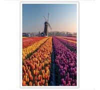 Impresión de lienzos de Naranja Campos de tulipanes Cuadro sobre Lienzo Estilo bohemio Pinturas murales Decoración Arte para Sala hogar Oficina Galería 60x40 cm Sin Marco