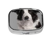 Impresión de perro Border Collie, Pastillero cuadrado para bolsillo o monedero, pequeño contenedor de pastillas, organizador de pastillas de viaje