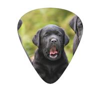 Impresión de perro labrador retriever,12 púas de guitarra, 3 grosores diferentes para guitarra acústica, bajo y ukelele