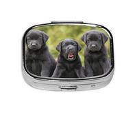 Impresión de perro Labrador Retriever, Pastillero cuadrado para bolsillo o monedero, pequeño contenedor de pastillas, organizador de pastillas de viaje