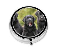 Impresión de perro Labrador Retriever, Pastillero, Pastillero redondo Pequeño contenedor de pastillas Organizador de pastillas de viaje