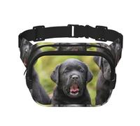 Impresión de Perro Labrador Retriever,Riñonera Cuadrada de Doble Capa, Bolso de Viaje, Bolso Informal para el Pecho.